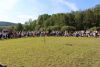 IMG_7560-Schweden-1.-Runde